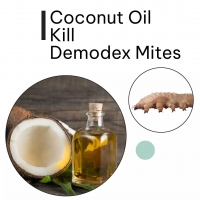 Coconut Oil Kill Demodex Mites